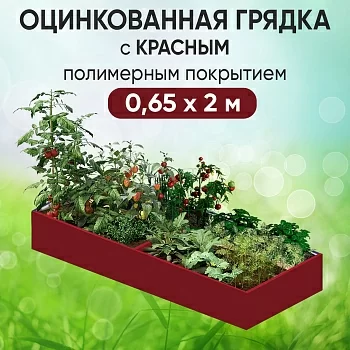 Грядка красная (0,65 х 2)