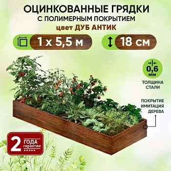 Грядка Дуб Антик (1 х 5,5)